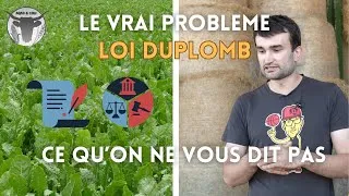 Miniature : Le VRAI PROBLEME de la LOI DUPLOMB, ce qu'on ne vous dit pas.