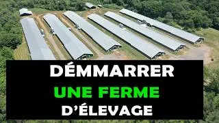 Miniature : COMMENT COMMENCER UNE FERME D'ÉLEVAGE : Toutes les étapes