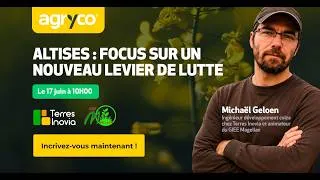 Miniature : Altises du colza : un nouveau levier de lutte à découvrir | Replay Webinar Agryco x Terres Inovia