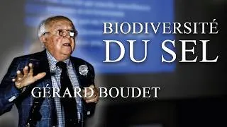 Miniature : La biodiversité du sel
