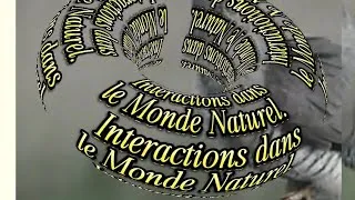 Miniature : Interactions dans le Monde Naturel. #video #viral #atlas #nature #youtube #youtubeshorts #ytshorts