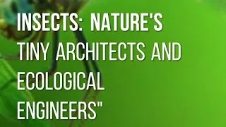 Miniature : Insects: Nature's Tiny Architects and Ecological Engineers"#nature #atlas #rock #طبيعة