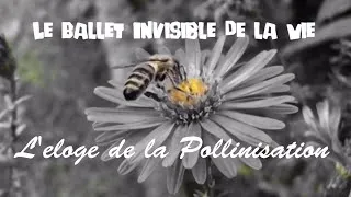 Miniature : Le Ballet Invisible de la Vie : L'Éloge de la Pollinisation" #nature #atlas
