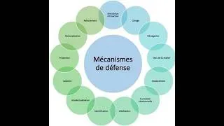 Miniature : MODULE 16 :  MECANISMES DE DEFENSE : OBSTACLES A LA CONSCIENCE DE SOI ET A LA TRANSCENDANCE DE SOI