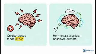 Miniature : Boostez votre libido naturellement avec ces 7 aliments aphrodisiaques
