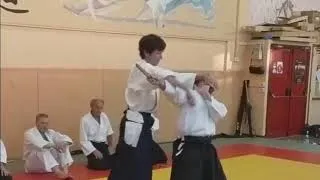 Miniature : Aikido - Variations techniques autour d'un déplacement