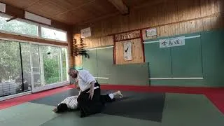 Miniature : [AIKIDO] Du travail "analytique" au travail "synthétique" (2026)