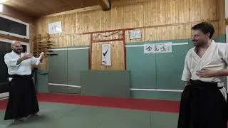 Miniature : [AIKIDO] La coupe verticale (image du ken) : armer, s’engager… et percer (2026)