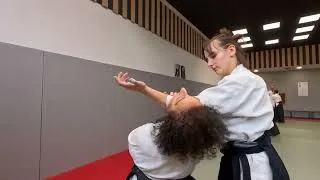 Miniature : L'aïkido - dynamisme et relâchement