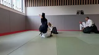Miniature : Aikido - un art martial complet