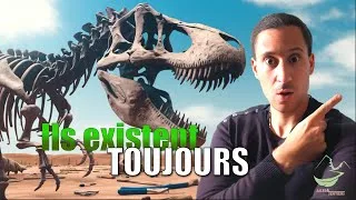 Miniature : Les dinosaures VOLENT ENCORE : la découverte qui change tout (Avec Paléontologue)