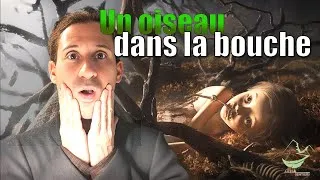 Miniature : Découverte Macabre : Le Secret de la Fille et de l’Oiseau