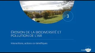 Miniature : Érosion de la biodiversité et pollution de l'air : interactions, actions co-bénéfiques (Partie 3/3)