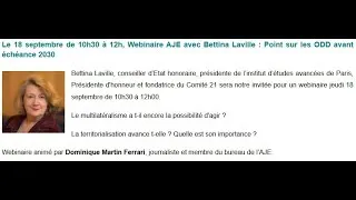 Miniature : Webinaire AJE avec  Bettina Laville - Point ODD avant échéance 2030