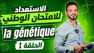 Miniature : الاستعداد للامتحان الوطني الحلقة 1 Génétique 🧬 
