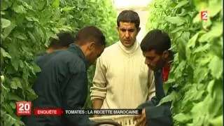 Miniature : TOMATES: LA RECETTE MAROCAINE 02/12/13