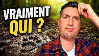 Miniature : Ces traces en forêt : tout le monde croit les reconnaître. Vraiment ?