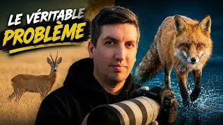 Miniature : Pourquoi ton appareil photo ne fera jamais de meilleures photos animalières