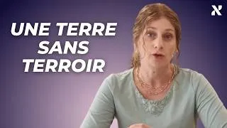 Miniature : Une terre sans terroir - paracha Chela'h le'ha