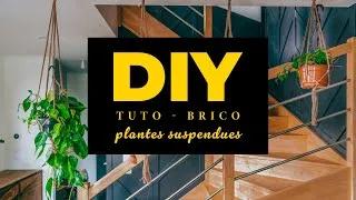 Miniature : Libérez de l'espace grâce aux plantes suspendues dans votre salon