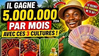 Miniature : : 3 cultures qui peuvent te rapporter 5 MILLIONS par mois (mais personne ne t’explique comment)