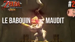 Miniature : Twilight Princess PC : Le babouin maudit et le 1er donjon ! #2