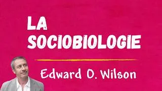 Miniature : ClaP 106  — La SOCIOBIOLOGIE en 9 minutes !