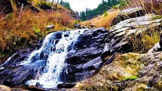 Miniature : HD - Ruisseaux Nature (Relaxing Sounds - 2 Hours - No Loop, No Birds, No Music, 51 Superbes Streams)