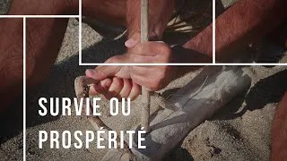 Miniature : survie et prospérité - Alain Goetzmann