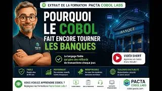 Miniature : Cobol : Le langage oublié qui traite encore des milliards d'euros chaque jour