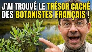 Miniature : J'ai trouvé le trésor caché des botanistes français !