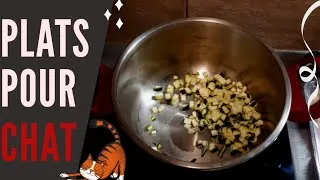 Miniature : Je cuisine pour mes chats 🐱  Régime pour chat اطبخ لقططي