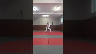 Miniature : Jyu Randori Kata 3