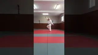 Miniature : Jyu Randori Kata 2