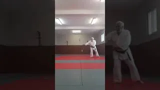 Miniature : Jyu Randori Kata 1