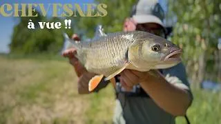 Miniature : Mon OUVERTURE 2k26 ! Je vais traquer ce POISSON TROP SOUS-COTÉ ! 