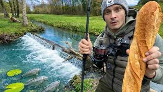 Miniature : Ce petit RUISSEAU est rempli de POISSONS ! ( PÊCHE AU PAIN ) 