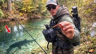 Miniature : Un MICRO LEURRE pour un BIG FISH ! Compétition de pêche à BOURGES !