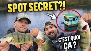 Miniature : Ce lieu ATYPIQUE abrite des MASTA PERCHES ! ( Pêche aux leurres )