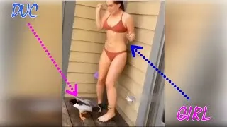 Miniature : fail funny video