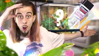 Miniature : Je RÉALISE un TERRARIUM pour mon ANOLIS en live sur TWITCH ! REDIFF [ MES BESTIOLES D'ABORD ]