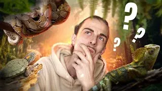 Miniature : Ce qu'il faut SAVOIR avant d'adopter un REPTILE ! [ MES BESTIOLES D'ABORD ]