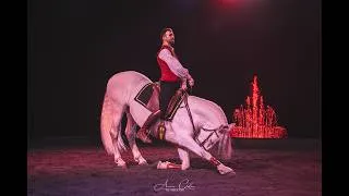 Miniature : Salon du Cheval d'Albi 2026 - Aftermovie officiel 🐴