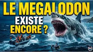 Miniature : LE MEGALODON EXISTE ENCORE ?