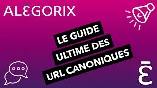 Miniature : ALÉGORIX : LE GUIDE ULTIME DES URL CANONIQUES