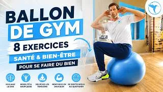 Miniature : Ballon de Gym : 8 Exercices Santé et Bien-Être pour Soulager Votre Corps à la Maison