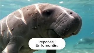 Miniature : Blind test sur les animaux qui commencent par L