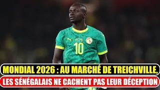 Miniature : Mondial 2026 : Au marché de Treichville, les supporters sénégalais déçus après la défaite des Lions