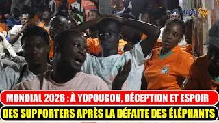 Miniature : Mondial 2026 : À Yopougon, déception et espoir des supporters après la défaite des Éléphants