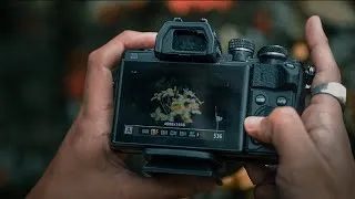 Miniature : Pourquoi tu n'arrives pas à faire de MEILLEURES PHOTOS ?